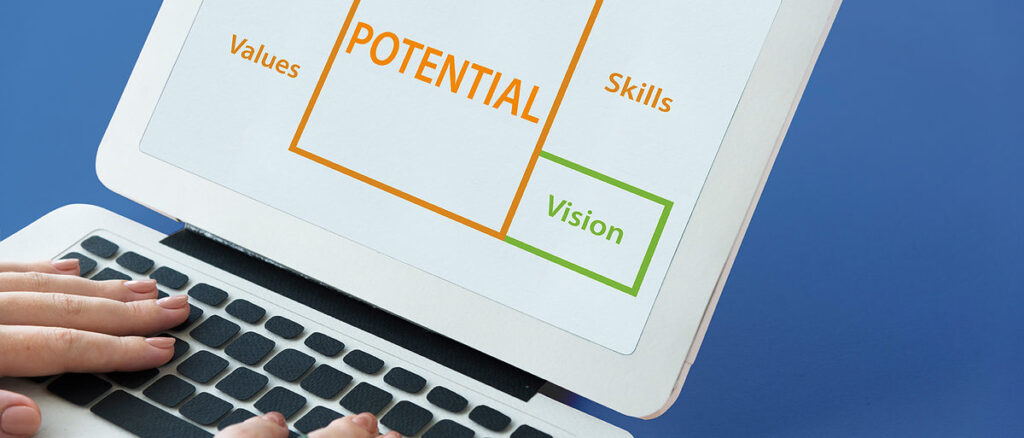 Potential Vision Skills Values